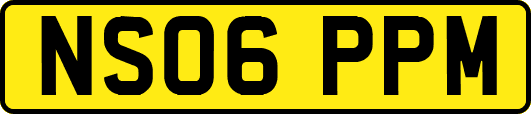 NS06PPM