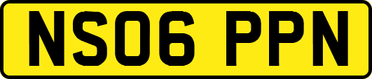 NS06PPN
