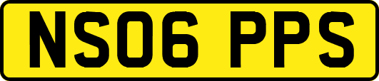 NS06PPS