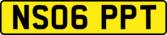 NS06PPT