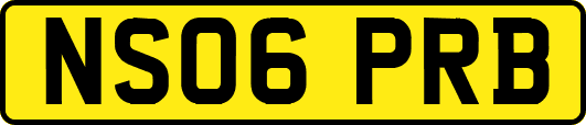 NS06PRB