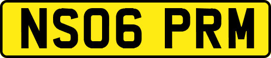 NS06PRM