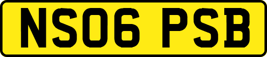 NS06PSB