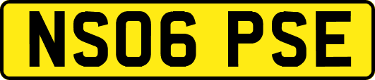 NS06PSE