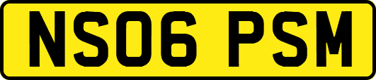 NS06PSM