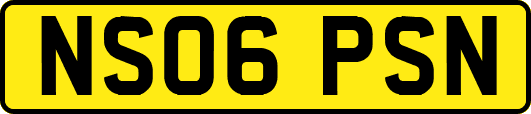 NS06PSN
