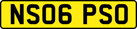 NS06PSO