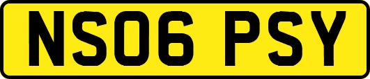 NS06PSY