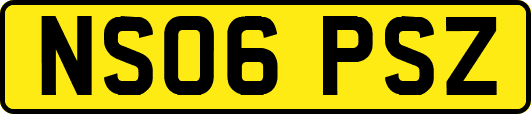 NS06PSZ
