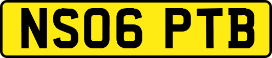 NS06PTB