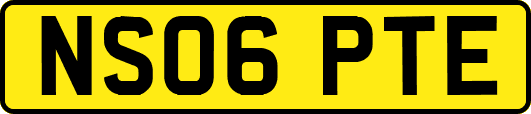 NS06PTE