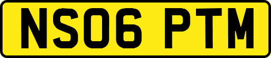 NS06PTM