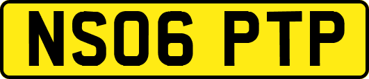 NS06PTP
