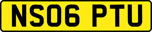 NS06PTU