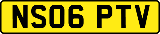 NS06PTV