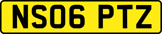 NS06PTZ