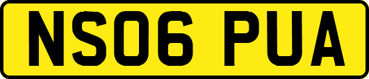 NS06PUA