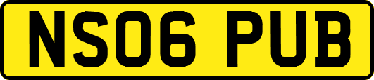 NS06PUB