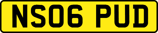 NS06PUD