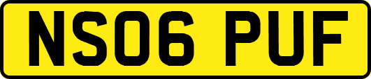 NS06PUF