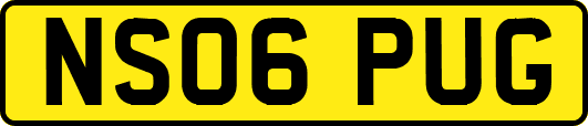 NS06PUG