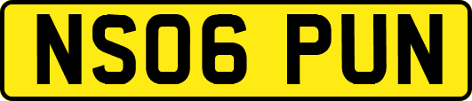 NS06PUN