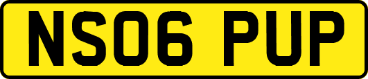 NS06PUP
