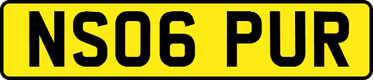 NS06PUR