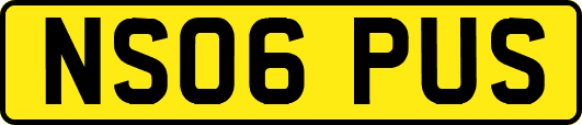 NS06PUS