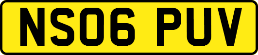 NS06PUV
