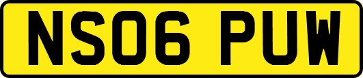 NS06PUW
