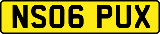 NS06PUX