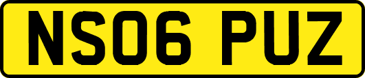 NS06PUZ