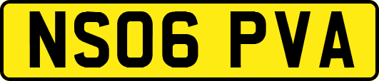 NS06PVA