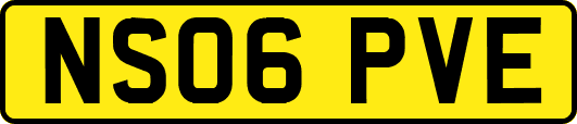 NS06PVE