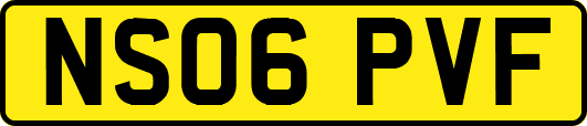 NS06PVF