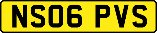 NS06PVS