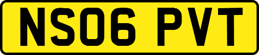 NS06PVT