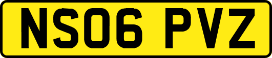 NS06PVZ