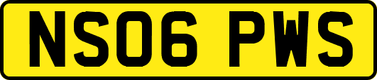 NS06PWS
