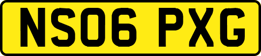 NS06PXG
