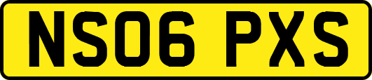 NS06PXS