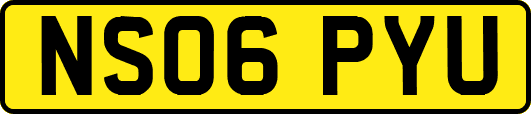 NS06PYU
