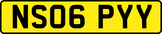 NS06PYY