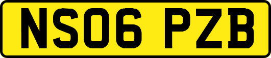 NS06PZB