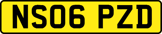 NS06PZD