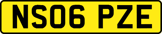 NS06PZE