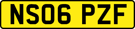 NS06PZF