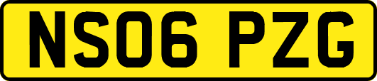 NS06PZG
