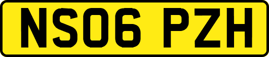 NS06PZH